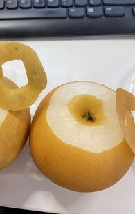 雪梨