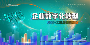 会议背景