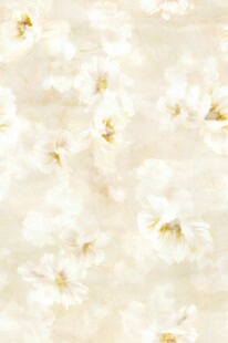 淡雅白花背景纹理图