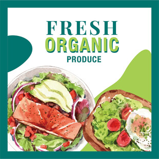 新鲜有机农产品组合