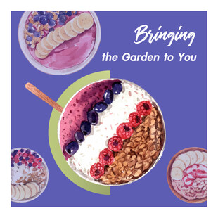 缤纷美味早餐谷物碗