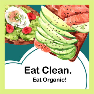 有机健康牛油果美食展示