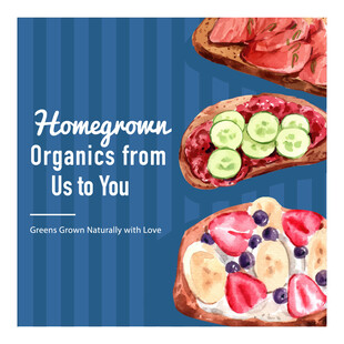 自制有机美食展示