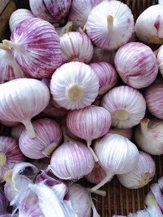 大蒜