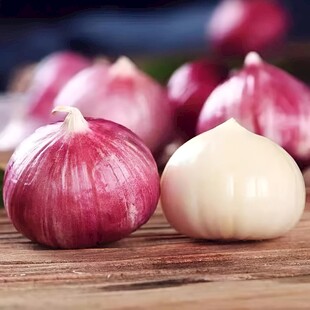 洋葱