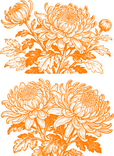 橙色菊花花卉图案设计素材