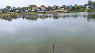 宁静湖畔垂钓景