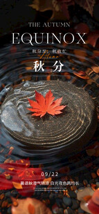 秋分节气海报