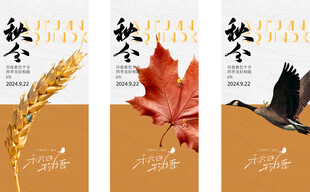 秋分节气海报
