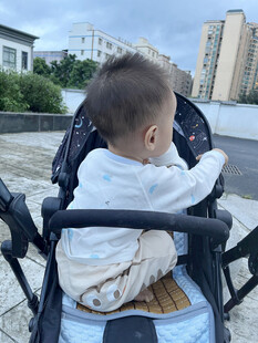 婴儿坐推车看向远方