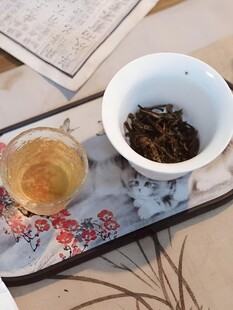 普洱茶