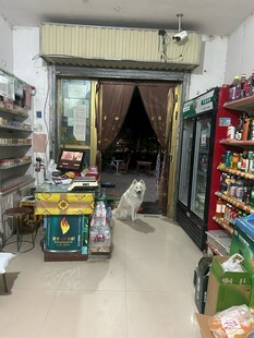 便利店内部陈列场景