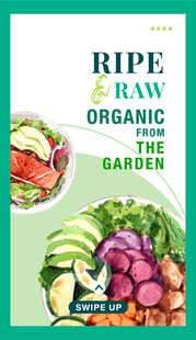 有机生食蔬菜宣传图