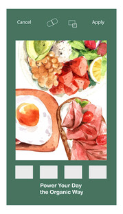 新鲜多样食材展示