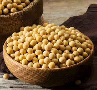 大豆