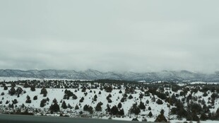冬日雪覆山林景观