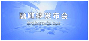 会议背景
