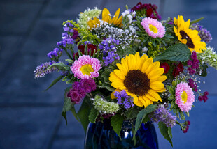 多彩鲜花插于瓶中