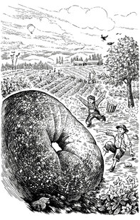 田野中的巨型蘑菇景观