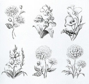 手绘花卉图案集合