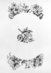 花卉装饰元素集合