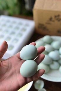 鸡蛋