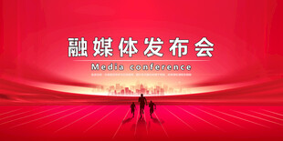 会议背景