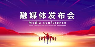 会议背景