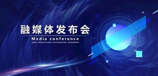 会议背景