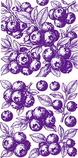 蓝莓果图案设计