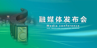 会议背景