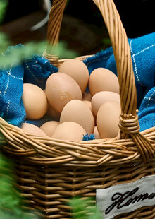 鸡蛋