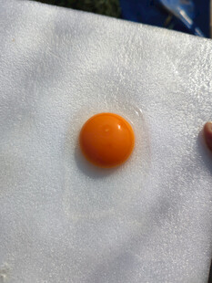 蛋黄
