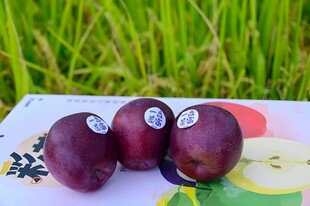 苹果