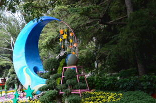 公园风景 