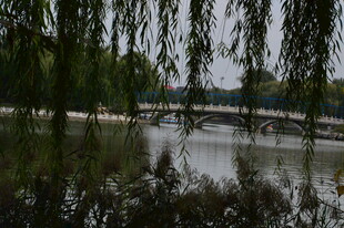 公园风景  