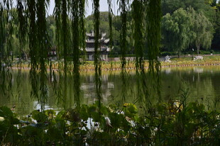 公园风景  