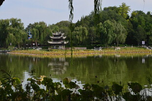 公园风景 