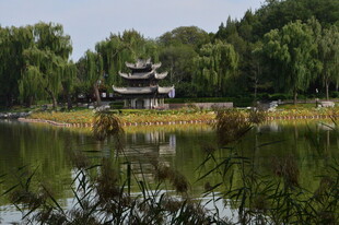 公园风景  