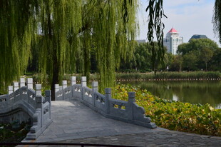 公园风景 