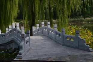 公园风景 