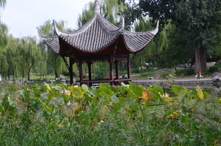 公园风景  