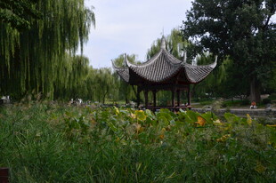 公园风景  
