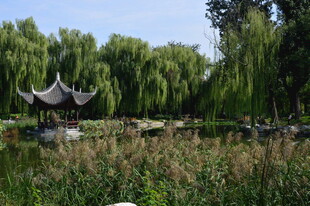公园风景 