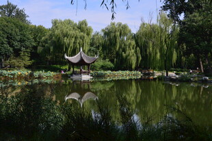 公园风景  