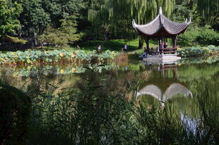 公园风景  