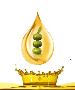 橄榄油