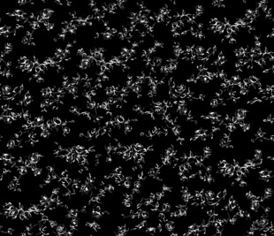 黑色颗粒质感纹理背景