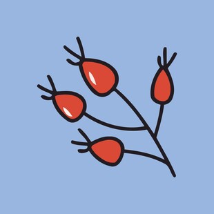 手绘红色浆果植物图案