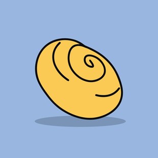 黄色螺旋贝壳插画